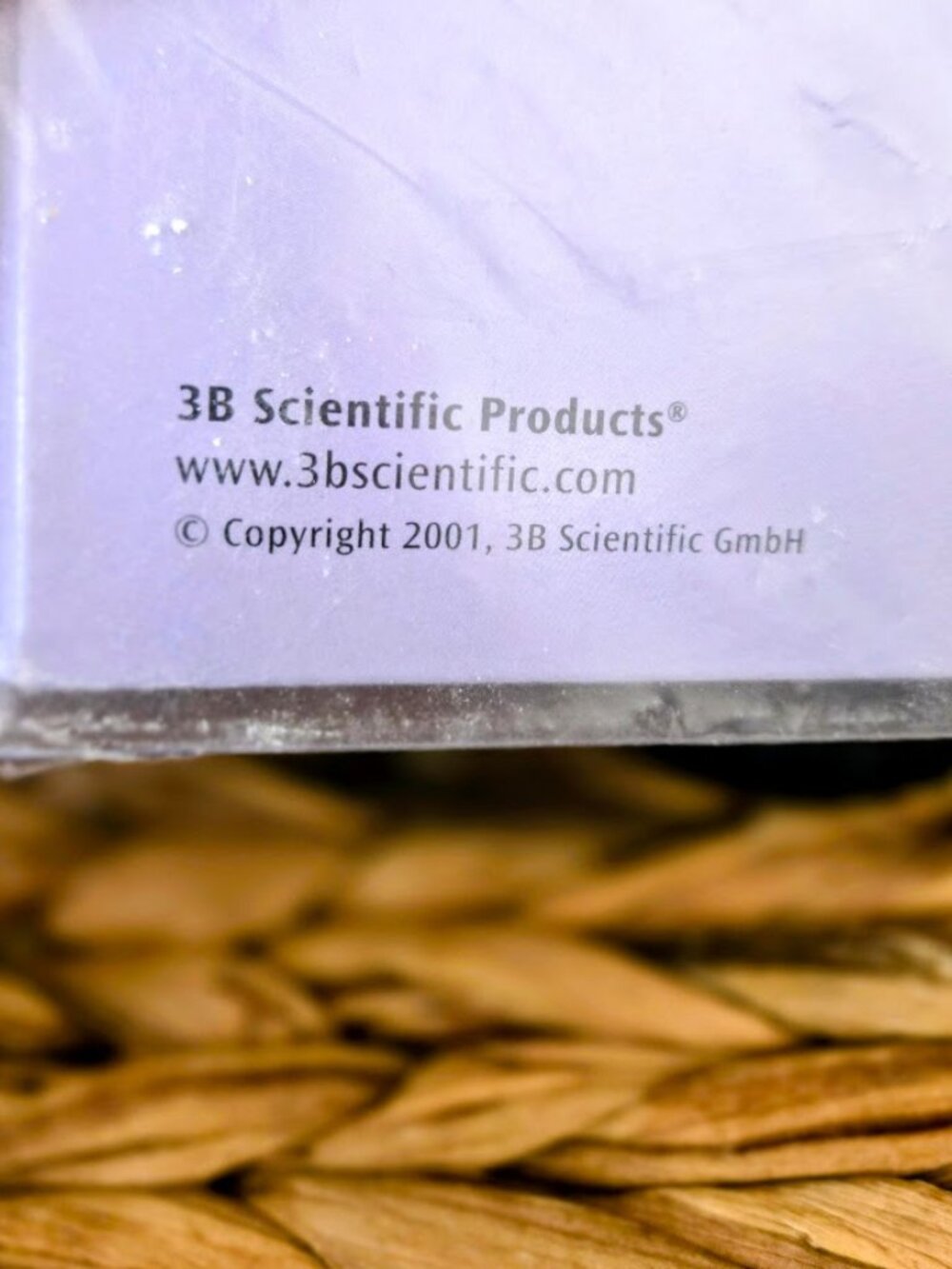 3B Scientific Acupuncture Ears Model Set (Left & Right) - Brand New in Box - Picture 14 of 15